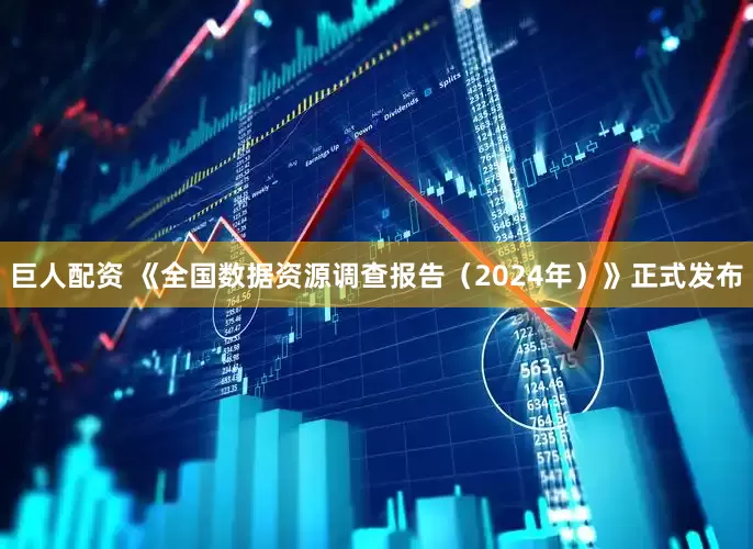 巨人配资 《全国数据资源调查报告（2024年）》正式发布