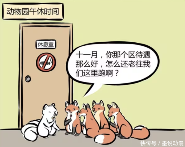 融易富 非人哉：十一月偷懒，九月被骗顶班，俄罗斯狐被带回家