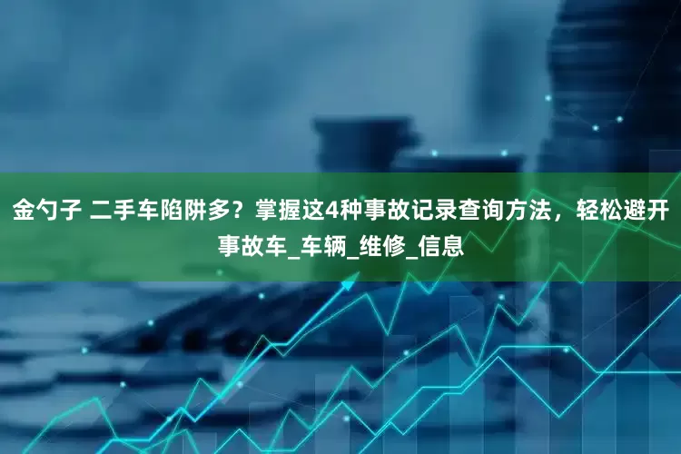 金勺子 二手车陷阱多？掌握这4种事故记录查询方法，轻松避开事故车_车辆_维修_信息