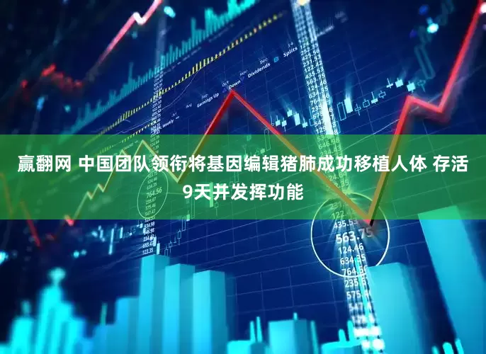 赢翻网 中国团队领衔将基因编辑猪肺成功移植人体 存活9天并发挥功能